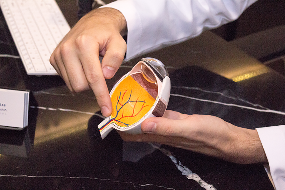 Demonstração anatômica da retina, vasos retinianos e nervo óptico pelo Dr. Mathias Volkmann